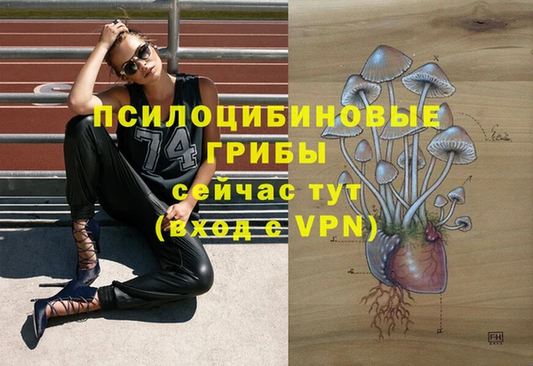 стаф Баксан