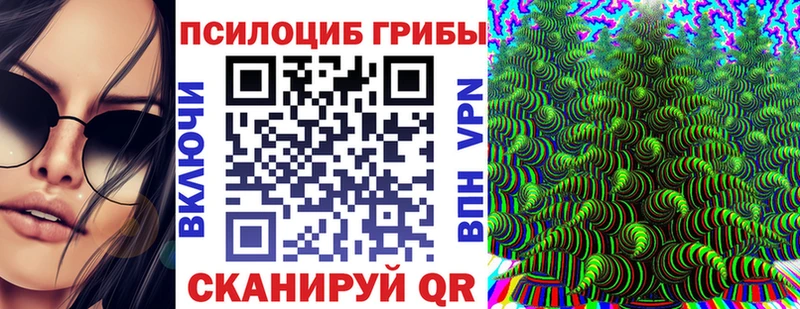 магазин    мориарти как зайти  Псилоцибиновые грибы Psilocybe  Вятские Поляны  мега сайт 