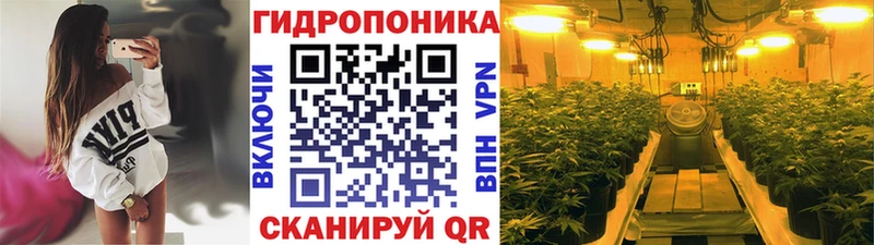 хочу наркоту Вятские Поляны Канабис VHQ